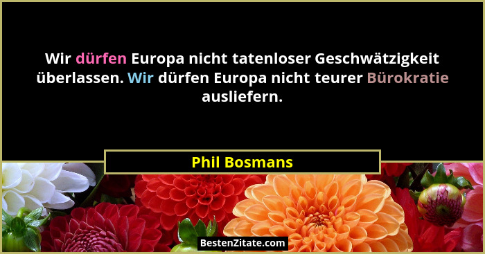 Wir dürfen Europa nicht tatenloser Geschwätzigkeit überlassen. Wir dürfen Europa nicht teurer Bürokratie ausliefern.... - Phil Bosmans