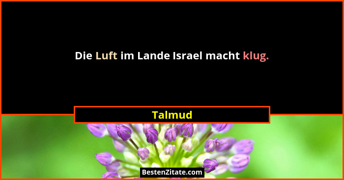 Die Luft im Lande Israel macht klug.... - Talmud