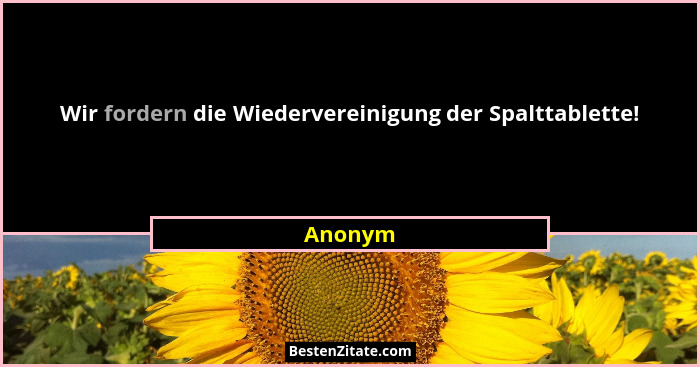 Wir fordern die Wiedervereinigung der Spalttablette!... - Anonym