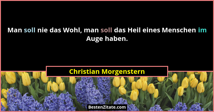 Man soll nie das Wohl, man soll das Heil eines Menschen im Auge haben.... - Christian Morgenstern