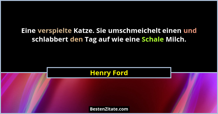 Eine verspielte Katze. Sie umschmeichelt einen und schlabbert den Tag auf wie eine Schale Milch.... - Henry Ford
