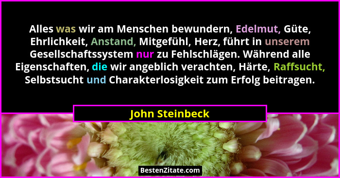 Alles was wir am Menschen bewundern, Edelmut, Güte, Ehrlichkeit, Anstand, Mitgefühl, Herz, führt in unserem Gesellschaftssystem nur z... - John Steinbeck