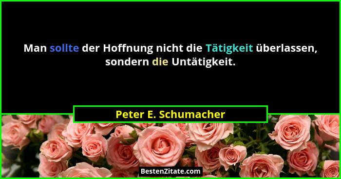 Man sollte der Hoffnung nicht die Tätigkeit überlassen, sondern die Untätigkeit.... - Peter E. Schumacher