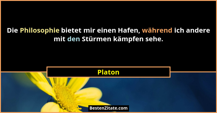Die Philosophie bietet mir einen Hafen, während ich andere mit den Stürmen kämpfen sehe.... - Platon