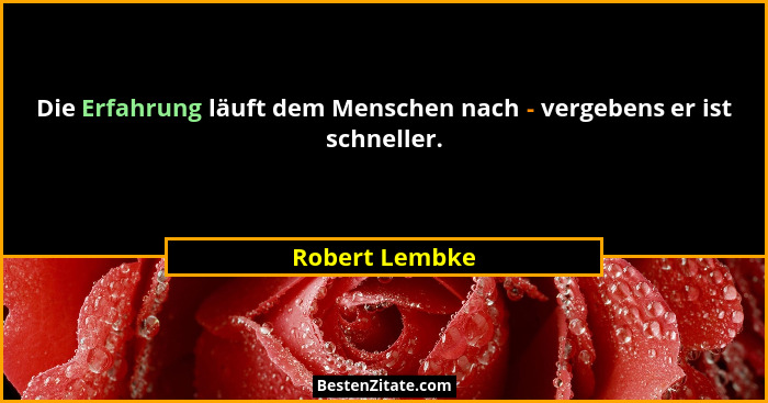 Die Erfahrung läuft dem Menschen nach - vergebens er ist schneller.... - Robert Lembke