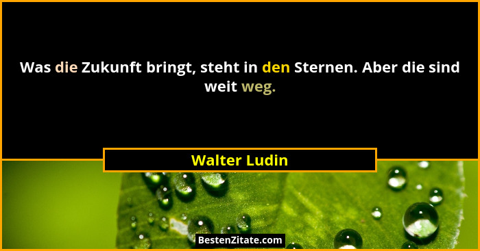 Was die Zukunft bringt, steht in den Sternen. Aber die sind weit weg.... - Walter Ludin