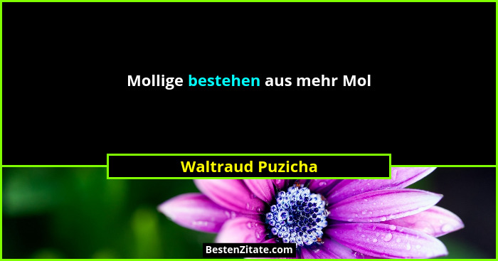 Mollige bestehen aus mehr Mol... - Waltraud Puzicha