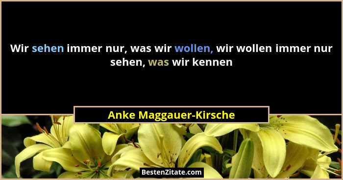 Wir sehen immer nur, was wir wollen, wir wollen immer nur sehen, was wir kennen... - Anke Maggauer-Kirsche