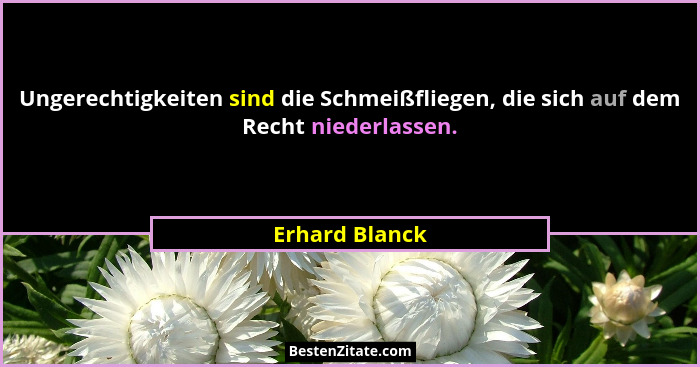 Ungerechtigkeiten sind die Schmeißfliegen, die sich auf dem Recht niederlassen.... - Erhard Blanck