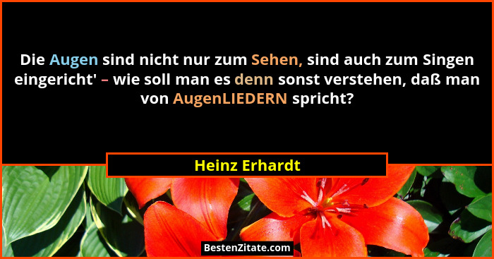 Die Augen sind nicht nur zum Sehen, sind auch zum Singen eingericht' – wie soll man es denn sonst verstehen, daß man von AugenLIED... - Heinz Erhardt