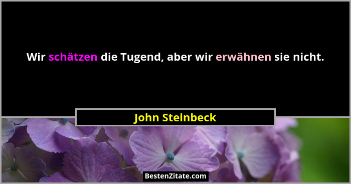 Wir schätzen die Tugend, aber wir erwähnen sie nicht.... - John Steinbeck