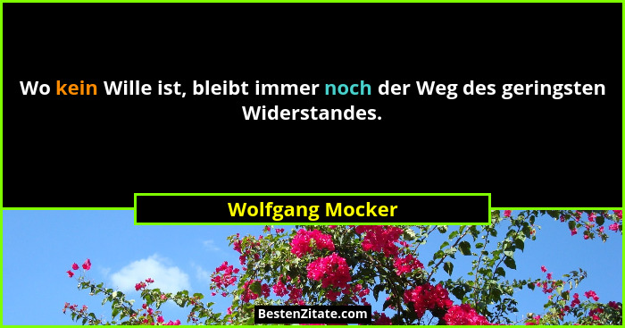 Wo kein Wille ist, bleibt immer noch der Weg des geringsten Widerstandes.... - Wolfgang Mocker