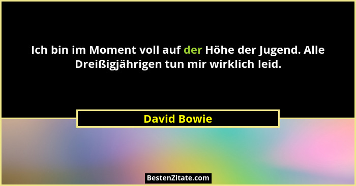 Ich bin im Moment voll auf der Höhe der Jugend. Alle Dreißigjährigen tun mir wirklich leid.... - David Bowie