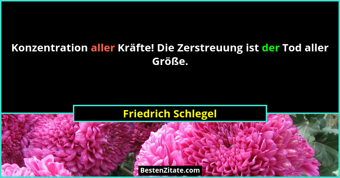 Konzentration aller Kräfte! Die Zerstreuung ist der Tod aller Größe.... - Friedrich Schlegel