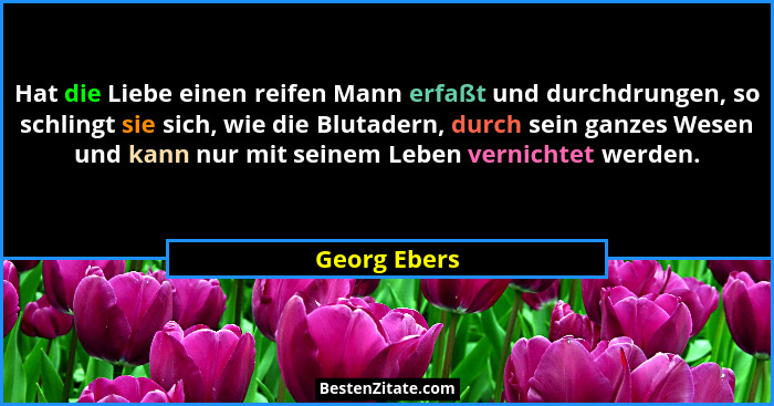 Hat die Liebe einen reifen Mann erfaßt und durchdrungen, so schlingt sie sich, wie die Blutadern, durch sein ganzes Wesen und kann nur m... - Georg Ebers