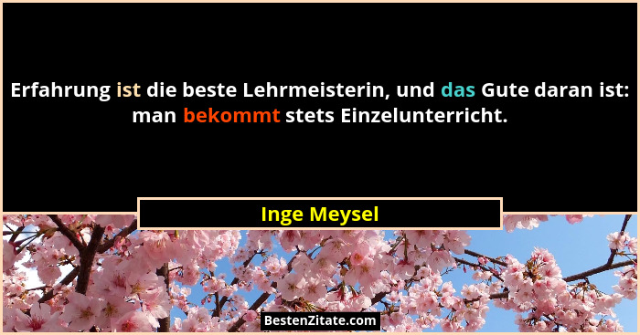 Erfahrung ist die beste Lehrmeisterin, und das Gute daran ist: man bekommt stets Einzelunterricht.... - Inge Meysel