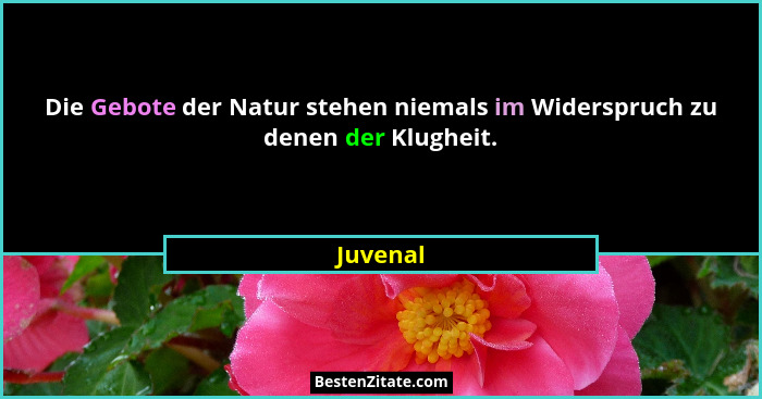 Die Gebote der Natur stehen niemals im Widerspruch zu denen der Klugheit.... - Juvenal