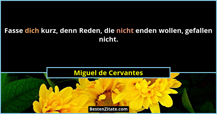 Fasse dich kurz, denn Reden, die nicht enden wollen, gefallen nicht.... - Miguel de Cervantes