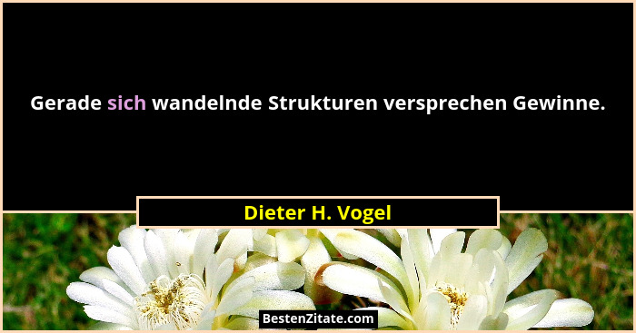 Gerade sich wandelnde Strukturen versprechen Gewinne.... - Dieter H. Vogel