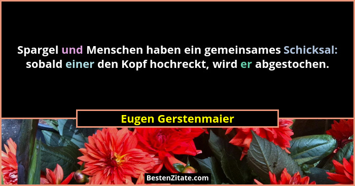 Spargel und Menschen haben ein gemeinsames Schicksal: sobald einer den Kopf hochreckt, wird er abgestochen.... - Eugen Gerstenmaier