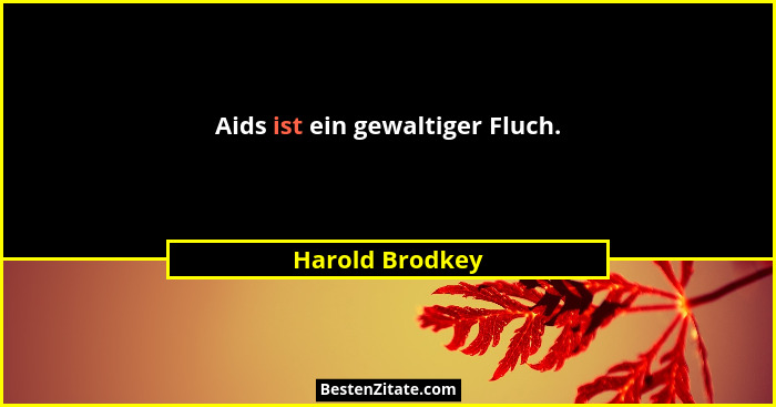 Aids ist ein gewaltiger Fluch.... - Harold Brodkey