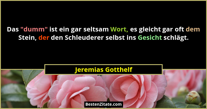 Das "dumm" ist ein gar seltsam Wort, es gleicht gar oft dem Stein, der den Schleuderer selbst ins Gesicht schlägt.... - Jeremias Gotthelf