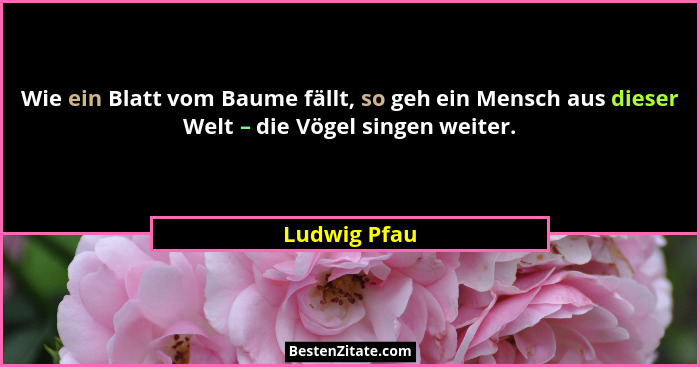Wie ein Blatt vom Baume fällt, so geh ein Mensch aus dieser Welt – die Vögel singen weiter.... - Ludwig Pfau