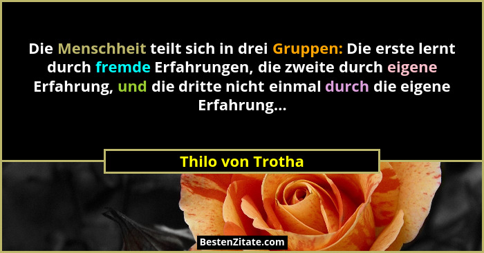 Die Menschheit teilt sich in drei Gruppen: Die erste lernt durch fremde Erfahrungen, die zweite durch eigene Erfahrung, und die dri... - Thilo von Trotha