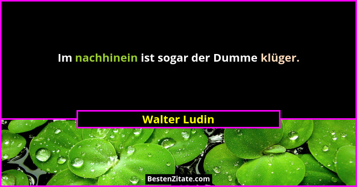 Im nachhinein ist sogar der Dumme klüger.... - Walter Ludin