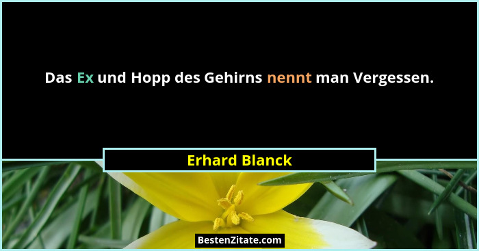 Das Ex und Hopp des Gehirns nennt man Vergessen.... - Erhard Blanck