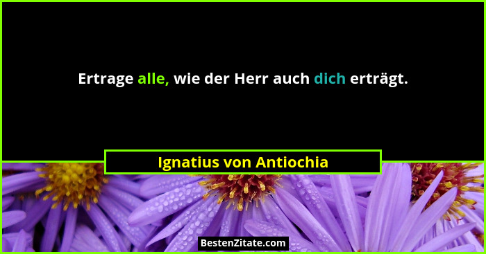 Ertrage alle, wie der Herr auch dich erträgt.... - Ignatius von Antiochia