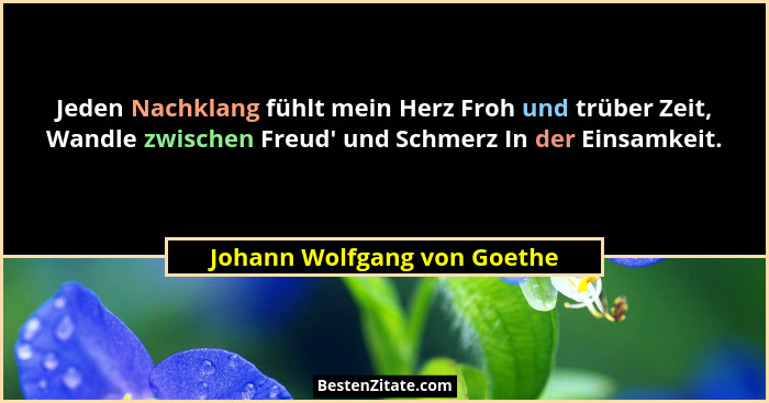 Jeden Nachklang fühlt mein Herz Froh und trüber Zeit, Wandle zwischen Freud' und Schmerz In der Einsamkeit.... - Johann Wolfgang von Goethe