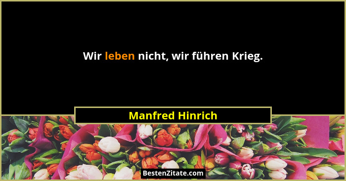Wir leben nicht, wir führen Krieg.... - Manfred Hinrich