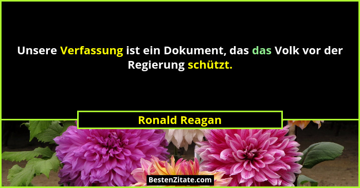 Unsere Verfassung ist ein Dokument, das das Volk vor der Regierung schützt.... - Ronald Reagan