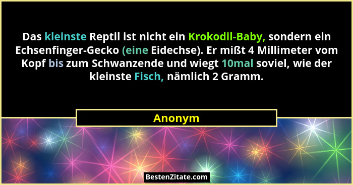 Das kleinste Reptil ist nicht ein Krokodil-Baby, sondern ein Echsenfinger-Gecko (eine Eidechse). Er mißt 4 Millimeter vom Kopf bis zum Schwan... - Anonym