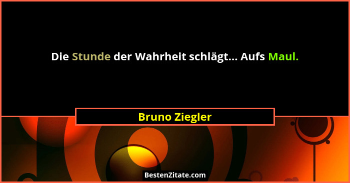 Die Stunde der Wahrheit schlägt... Aufs Maul.... - Bruno Ziegler