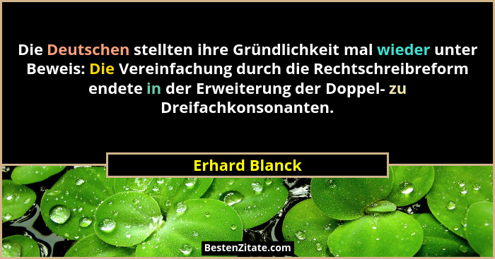 Die Deutschen stellten ihre Gründlichkeit mal wieder unter Beweis: Die Vereinfachung durch die Rechtschreibreform endete in der Erweit... - Erhard Blanck