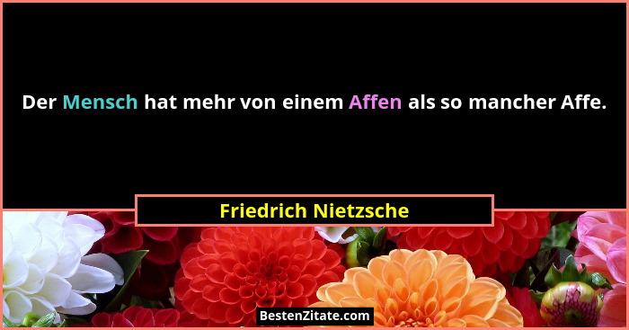 Der Mensch hat mehr von einem Affen als so mancher Affe.... - Friedrich Nietzsche