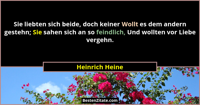 Sie liebten sich beide, doch keiner Wollt es dem andern gestehn; Sie sahen sich an so feindlich, Und wollten vor Liebe vergehn.... - Heinrich Heine