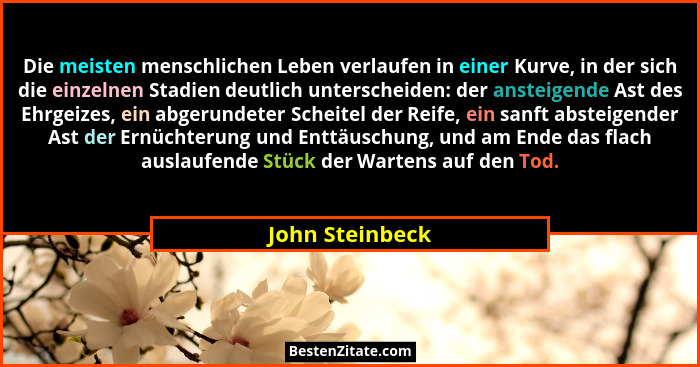 Die meisten menschlichen Leben verlaufen in einer Kurve, in der sich die einzelnen Stadien deutlich unterscheiden: der ansteigende As... - John Steinbeck