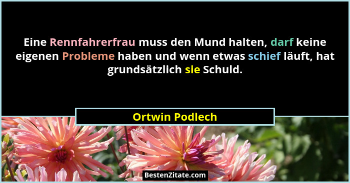Eine Rennfahrerfrau muss den Mund halten, darf keine eigenen Probleme haben und wenn etwas schief läuft, hat grundsätzlich sie Schuld... - Ortwin Podlech
