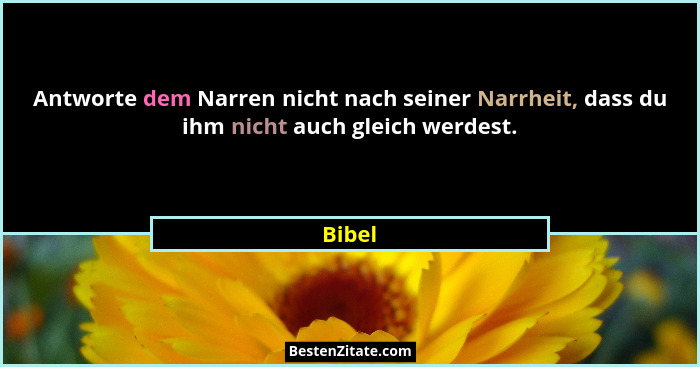 Antworte dem Narren nicht nach seiner Narrheit, dass du ihm nicht auch gleich werdest.... - Bibel