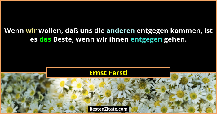 Wenn wir wollen, daß uns die anderen entgegen kommen, ist es das Beste, wenn wir ihnen entgegen gehen.... - Ernst Ferstl