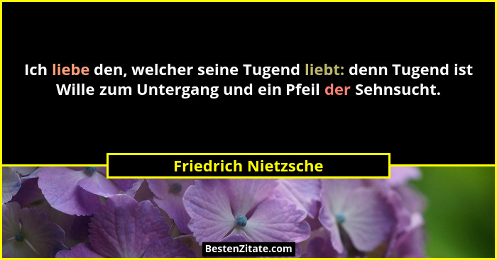 Ich liebe den, welcher seine Tugend liebt: denn Tugend ist Wille zum Untergang und ein Pfeil der Sehnsucht.... - Friedrich Nietzsche
