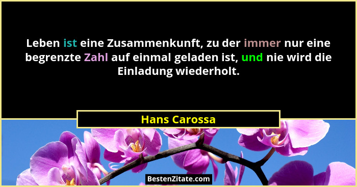 Leben ist eine Zusammenkunft, zu der immer nur eine begrenzte Zahl auf einmal geladen ist, und nie wird die Einladung wiederholt.... - Hans Carossa