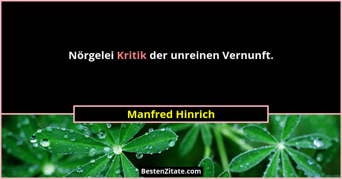 Nörgelei Kritik der unreinen Vernunft.... - Manfred Hinrich