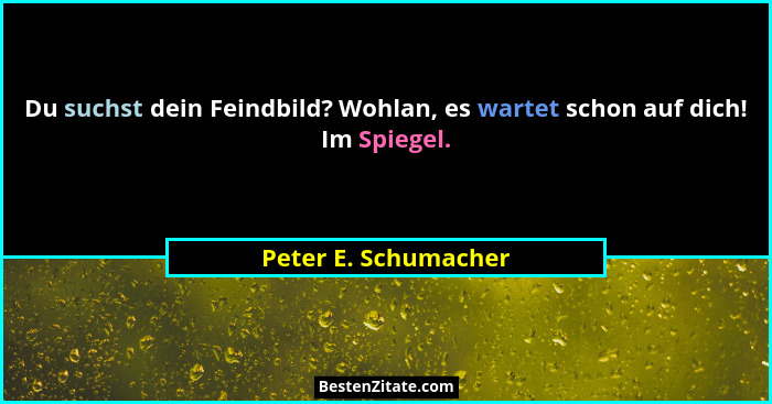 Du suchst dein Feindbild? Wohlan, es wartet schon auf dich! Im Spiegel.... - Peter E. Schumacher