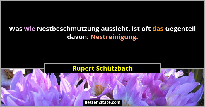 Was wie Nestbeschmutzung aussieht, ist oft das Gegenteil davon: Nestreinigung.... - Rupert Schützbach