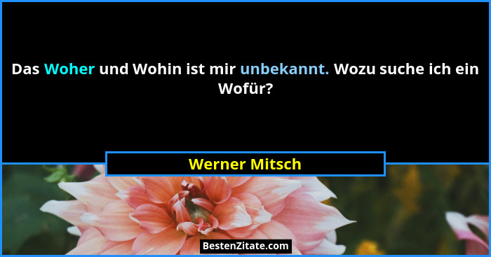 Das Woher und Wohin ist mir unbekannt. Wozu suche ich ein Wofür?... - Werner Mitsch