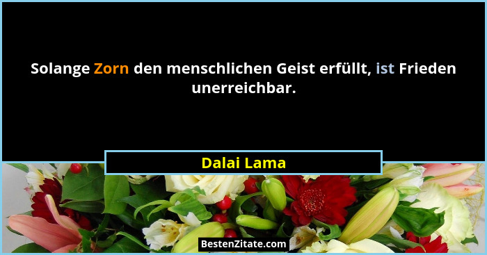 Solange Zorn den menschlichen Geist erfüllt, ist Frieden unerreichbar.... - Dalai Lama